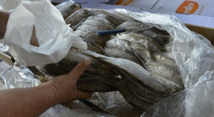 Dias d'Ávila inicia a entrega do peixe e kit de alimentos da Semana Santa nesta segunda