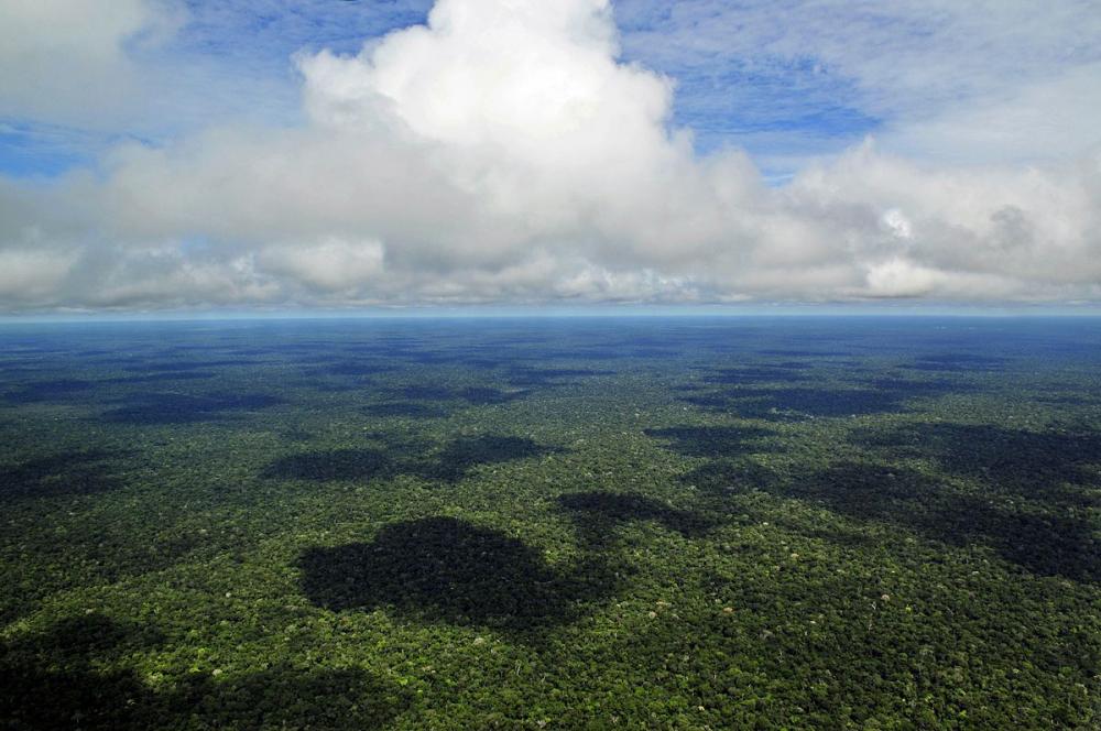 STF adia decisão sobre a política ambiental para Amazônia