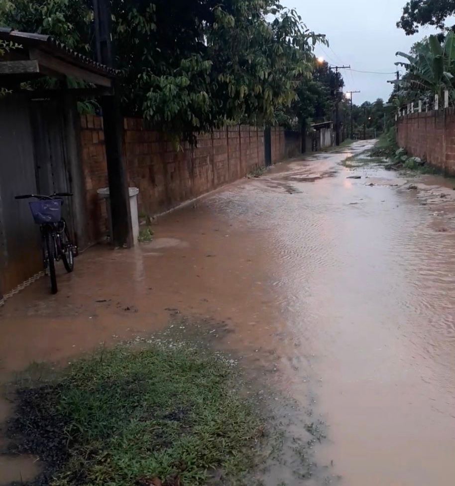 Chuva provoca quedas de árvores e alagamento de ruas em Mata de São João