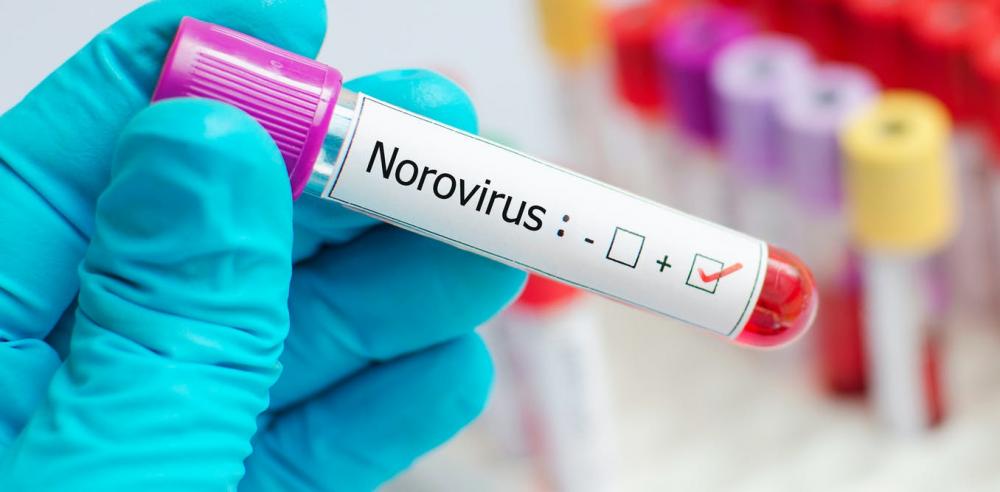 Análises apontam aumento de casos de norovírus em Salvador