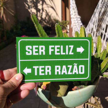 Ser ou Ter