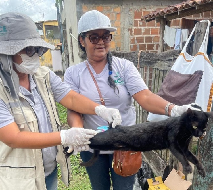 Prefeitura de Pojuca lança campanha de vacinação antirrábica