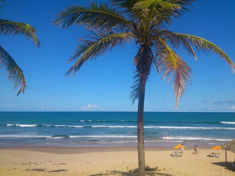 Luau do Adão acontecerá dia 10 de setembro na Vila de Santo Antônio