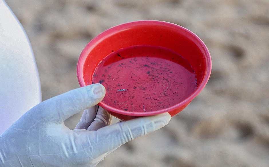 Sesab identifica nova cepa da dengue na Bahia; oito casos foram confirmados