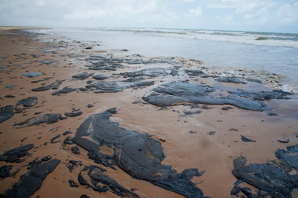 Mutirão fará limpeza de praias após reaparecimento de manchas de óleo em Praia do Forte 