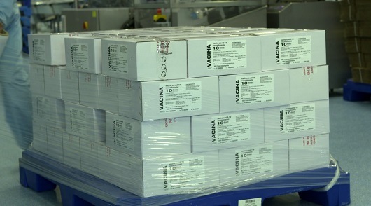 Anvisa autoriza ampliação da validade de vacina da Pfizer contra a Covid-19