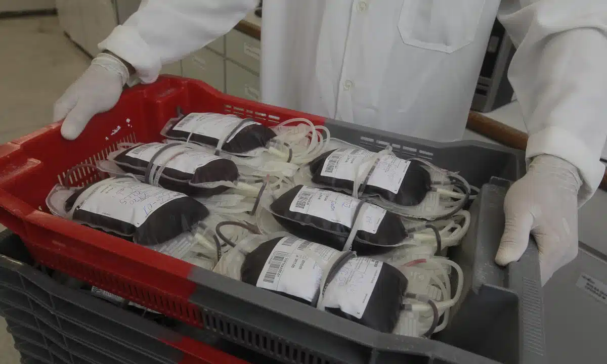 Hemoba monta esquema especial para doação de sangue entre os dias 11 a 15 de novembro 