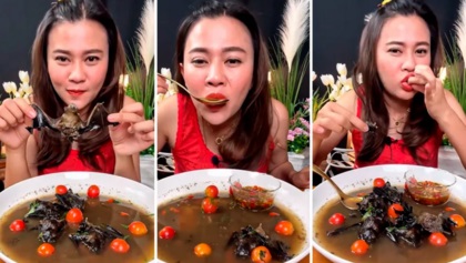 Influenciadora é presa após publicar vídeo tomando sopa de morcegos