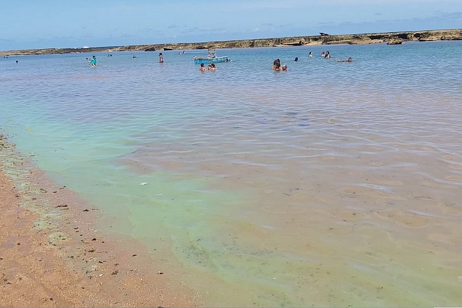 Manchas esverdeadas nas praias de Jauá e Barra do Jacuípe são oriundas de microalgas