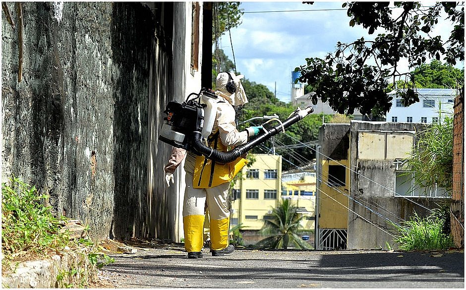 Brasil se aproxima de bater recorde anual de mortes por dengue