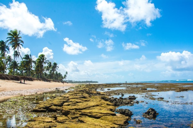 Bahia terá dez feriados prolongados em 2023; confira datas