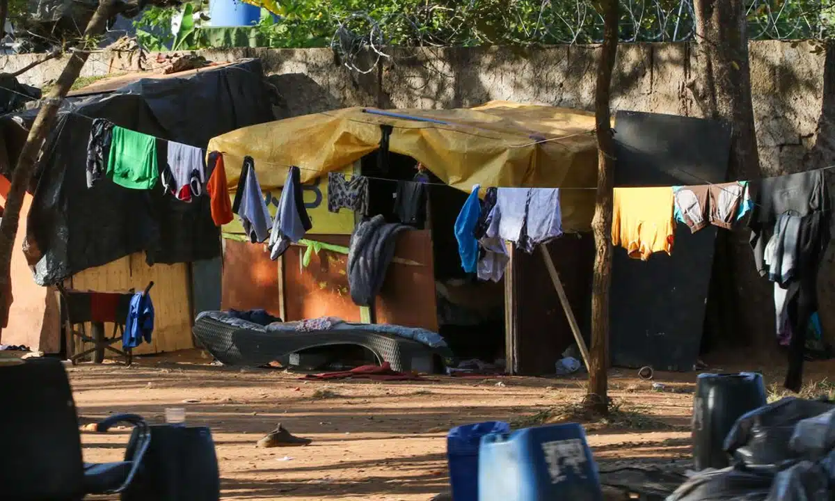 Reorganização do Bolsa Família é prioridade do Desenvolvimento Social