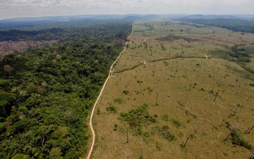 Qual o cenário ambiental para o Brasil em 2023?