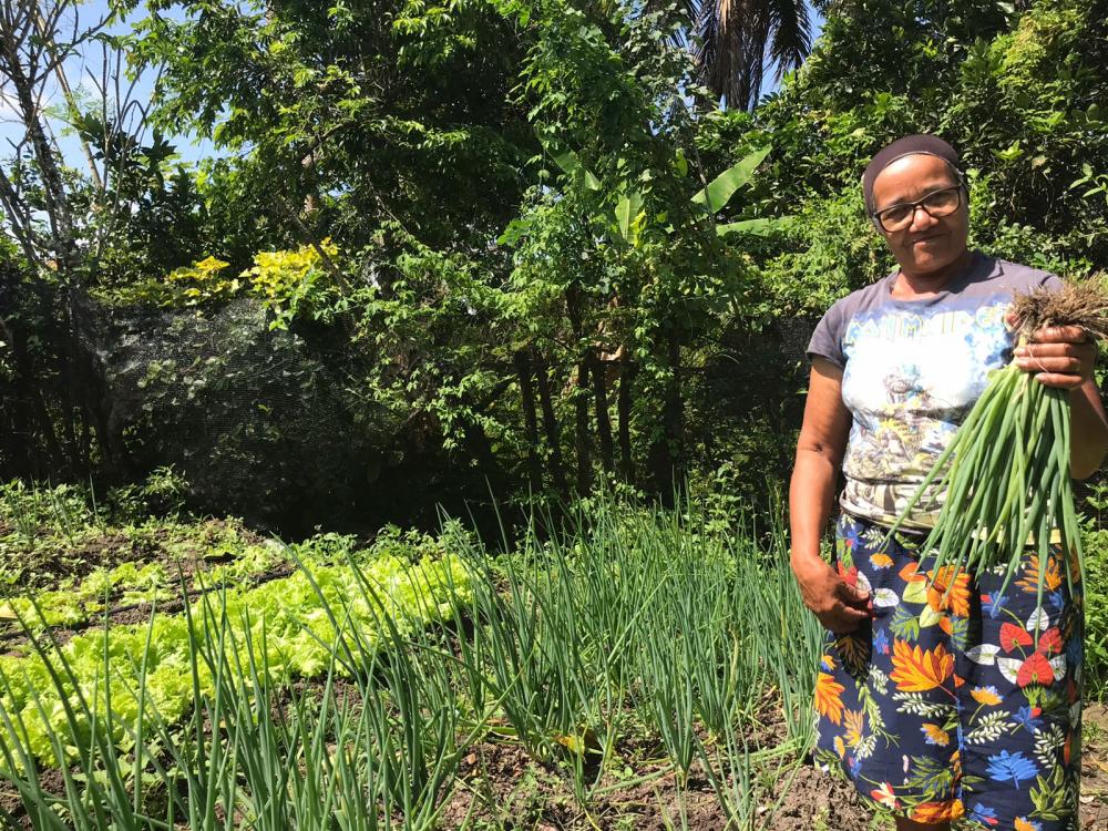 Projeto Semear & Colher: Parque da Cidade recebe Feira Agroecológica nesta quarta