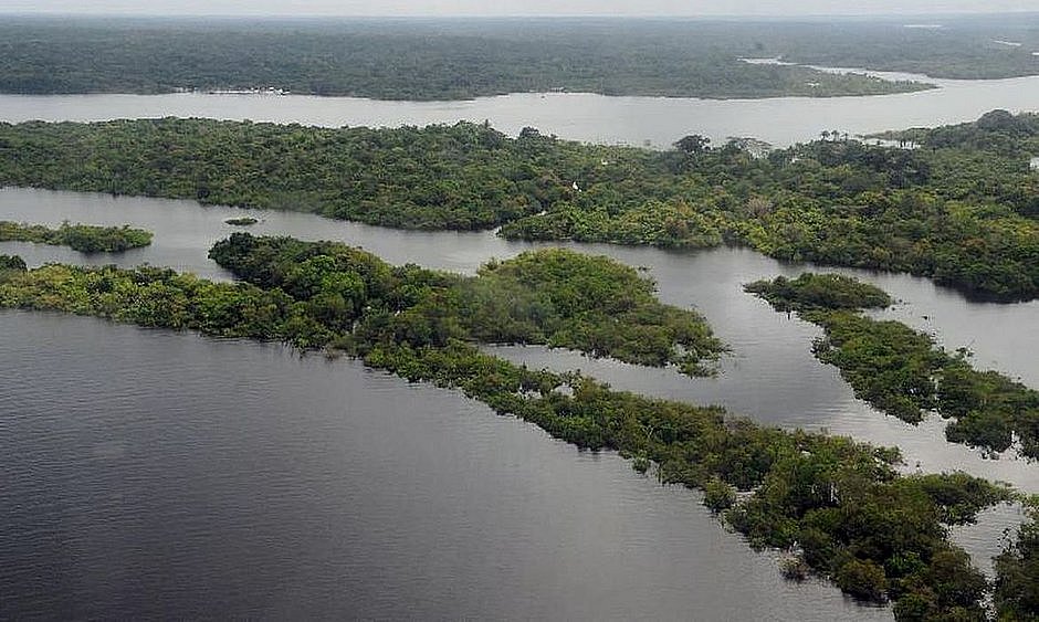 Desmatamento na Amazônia caiu 61% em janeiro