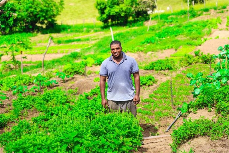 Prefeitura de Mata realiza inspeção para certificação orgânica de agricultores