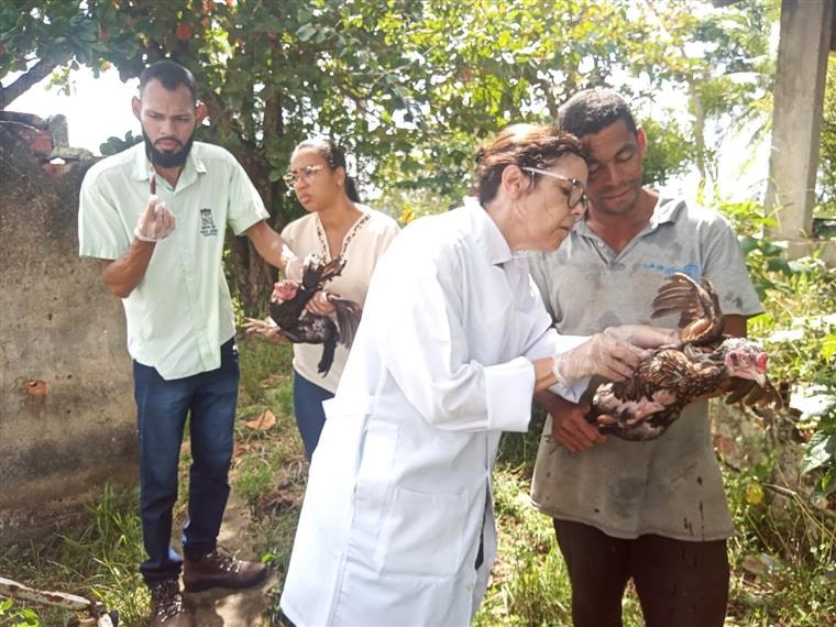 SEAGRI de Mata de São João reforça monitoramento contra gripe aviária