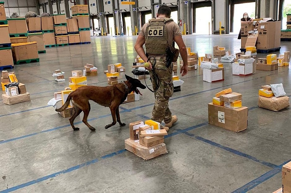 Droga avaliada em R$ 1 milhão é apreendida em encomendas enviadas por Correios