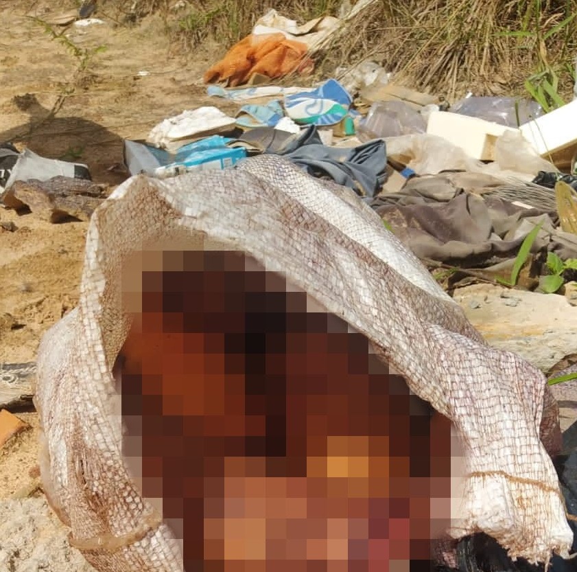 Corpo é encontrado esquartejado dentro de sacos em Camaçari