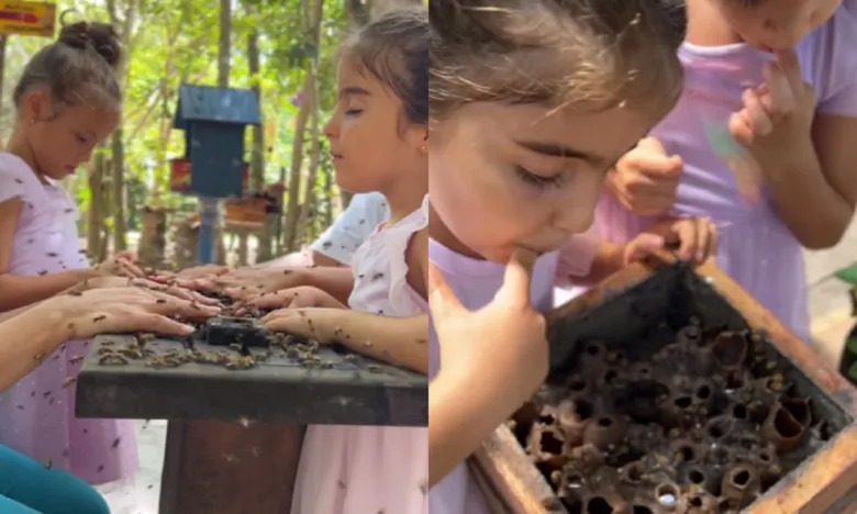 Filhas de Ivete Sangalo se divertem com abelhas em Malhadas