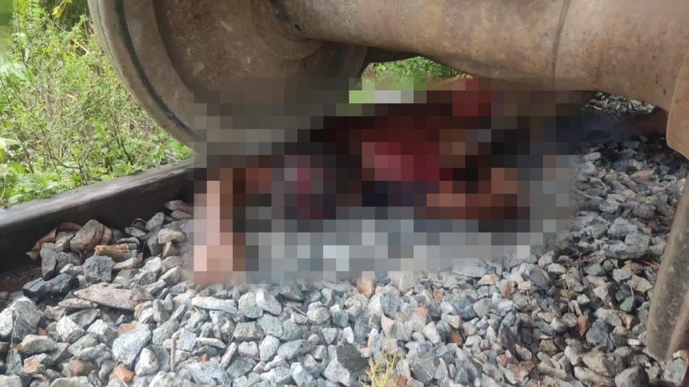 Homem morre após ser atropelado por trem em Amado Bahia