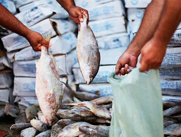 Entrega dos tickets que garante o peixe da Semana Santa já começou em Mata de São João