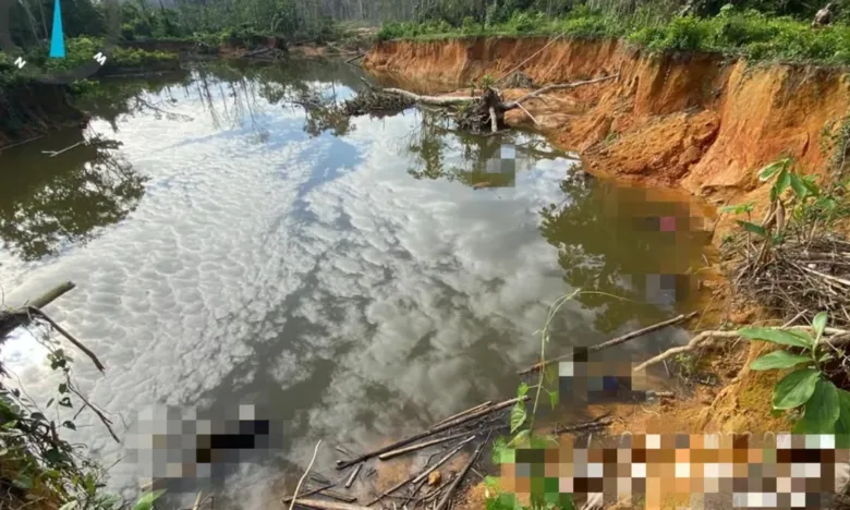 Corpos de 8 garimpeiros são encontrados em Terra Indígena Yanomami