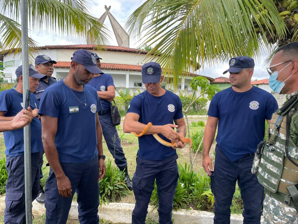 Prefeitura de Pojuca realiza Curso de Manejo de Animais Silvestres