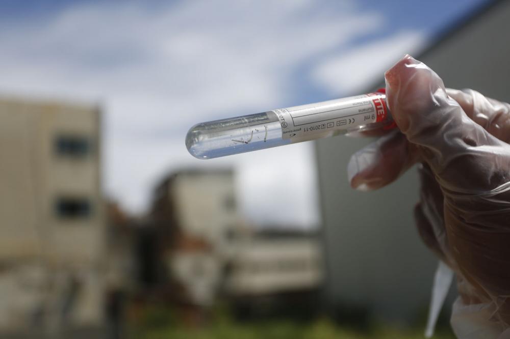 Feira de Santana confirma segunda morte por dengue em 2023