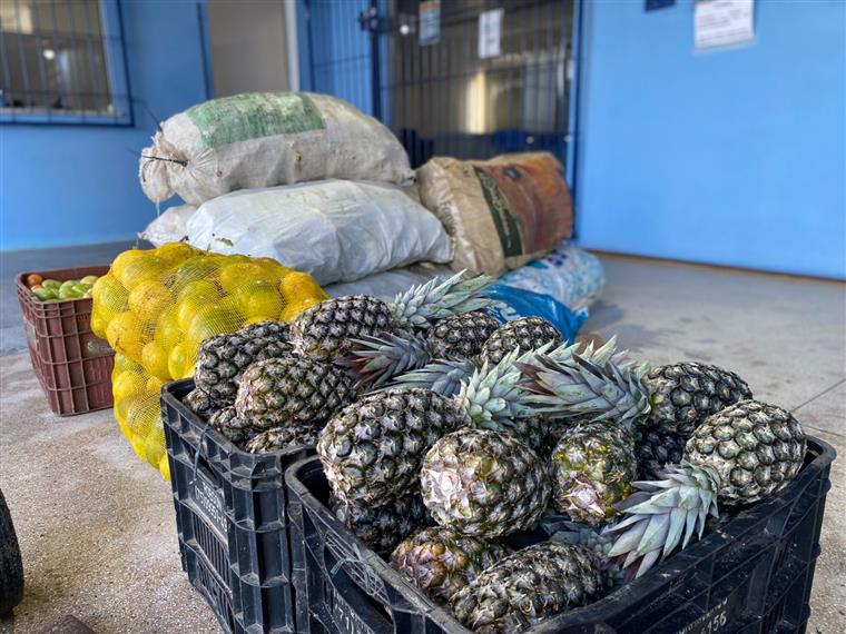 Prefeitura de Dias d'Ávila fortalece agricultura familiar com Programa de Aquisição de Alimentos