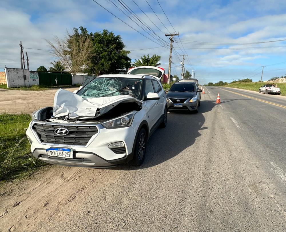 Cavalo solto na pista morre após ser atropelado por carro na BA-093 