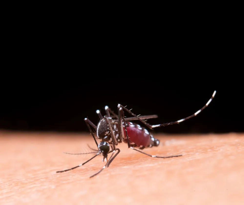 Aumento de casos e mortes por dengue deixa saúde na Bahia em alerta
