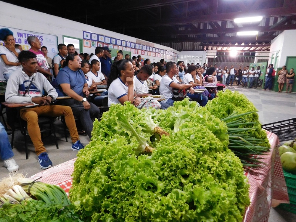 Prefeitura de Pojuca e IF Baiano oferecem curso de Horticultor Orgânico