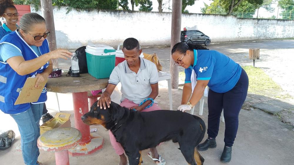 A vacinação antirrábica já alcançou mais de 1700 cães e gatos em Dias d’Ávila