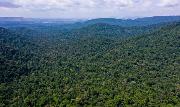 Desmatamento na Amazônia cai 7,4% em um ano; Cerrado tem perda de vegetação recorde
