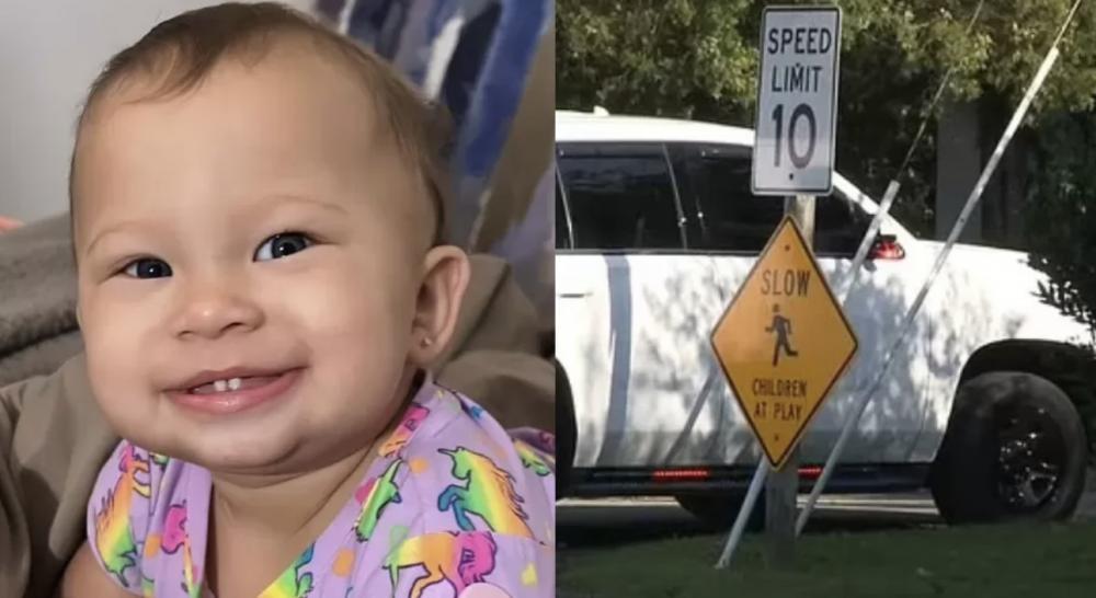 Bebê e cachorro morrem após serem deixados em carro por seis horas
