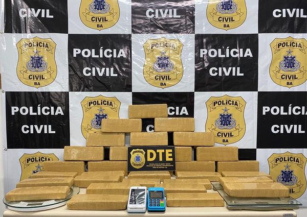 Polícia apreende 30kg de maconha que seriam distribuídos em Feira de Santana