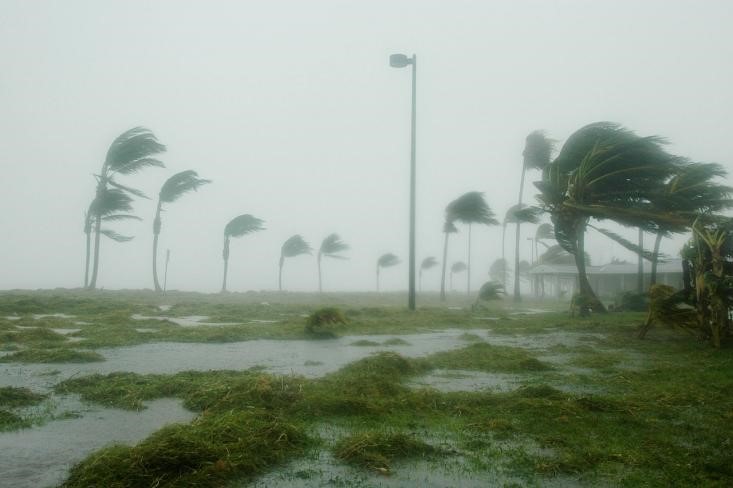 Desesperança ambiental. O que está por vir?
