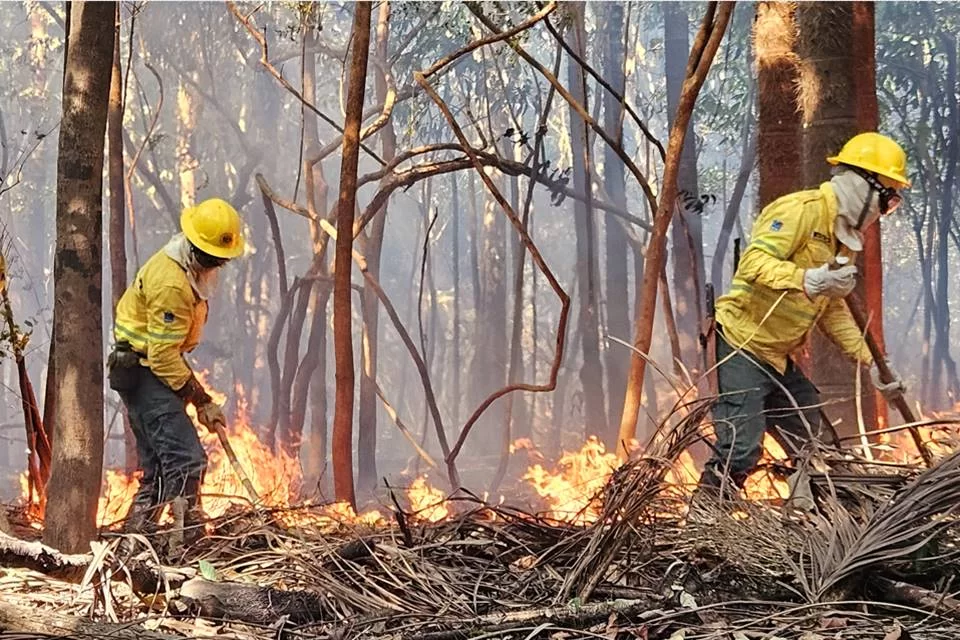 Ibama vai apelar ao Fundo Amazônia para combate a queimadas