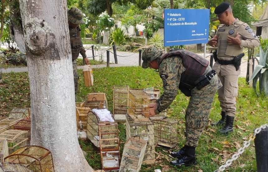 PM resgata cerca de 300 aves silvestres em Camaçari