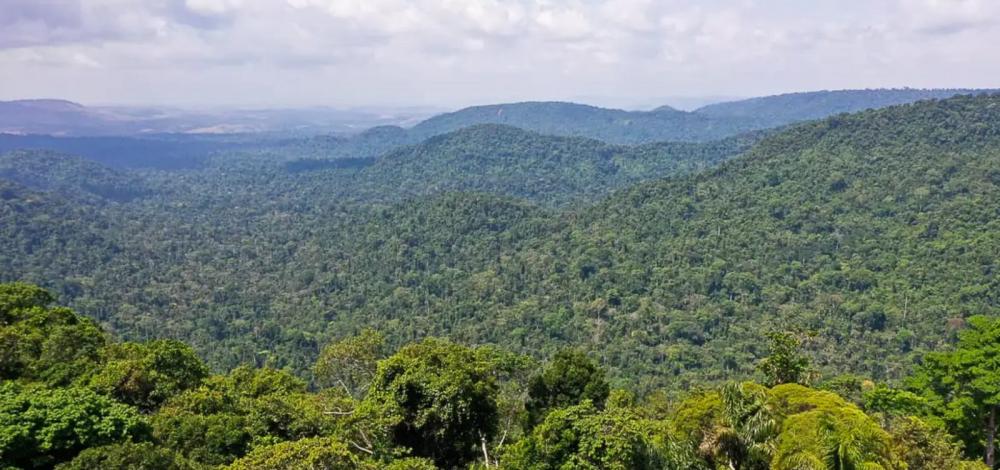 COP28 escolhe Brasil como sede da Conferência do Clima de 2025