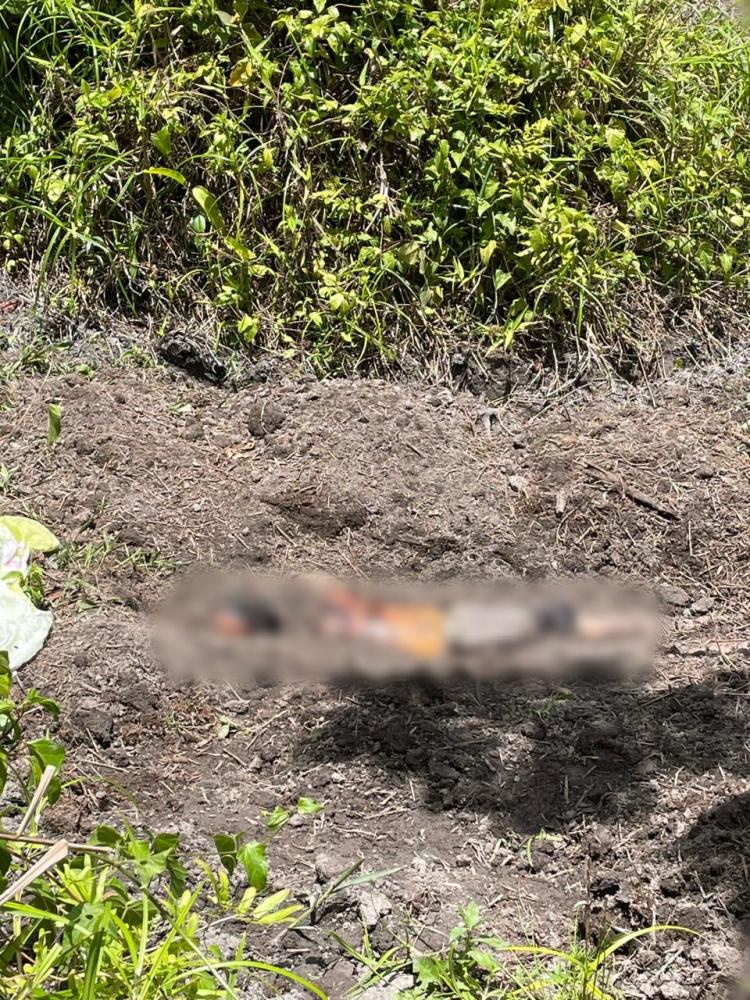 Corpo de jovem de 21 anos é encontrado em Dias d’Ávila