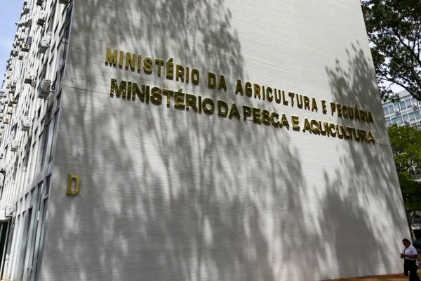 Risco de gripe aviária faz Ministério restringir eventos com concentração de aves