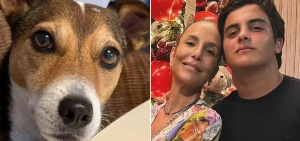 Filho de Ivete faz apelo nas redes para encontrar Lola, a cadela da família, desaparecida em Praia do Forte