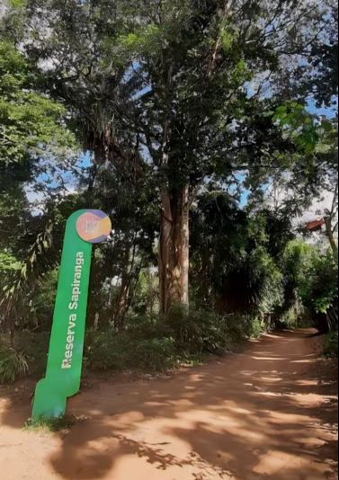 Mulher é vítima de assalto na Reserva Sapiranga