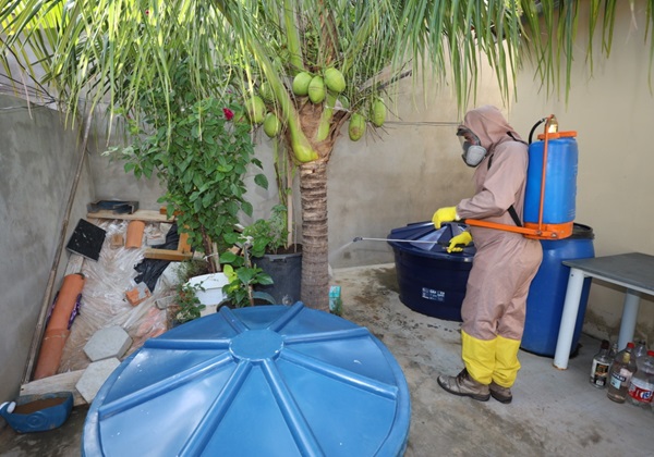 Sobe para 20 número de mortes por dengue na Bahia