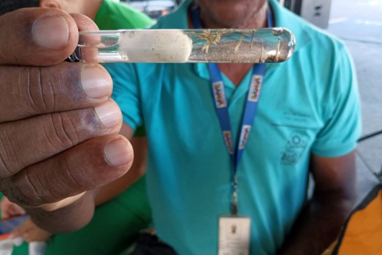 Número de mortes por dengue na Bahia chega a 22