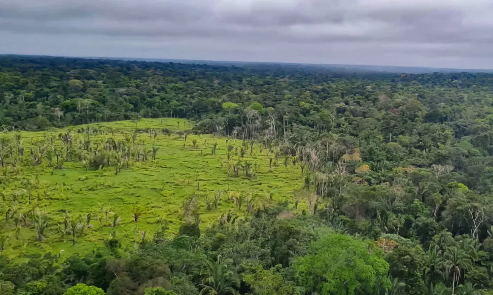 Bahia lidera índice de conflitos no campo em todo país, diz relatório