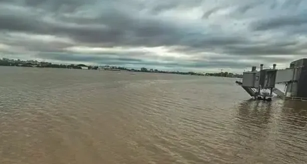 Peixes boiando são vistos nas ruas alagadas de Porto Alegre
