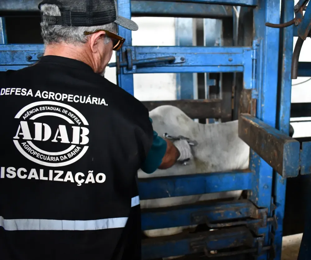 Governo da Bahia convoca inscritos no concurso da Adab para provas